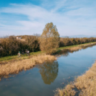 Tour in barca a Carole con catamarano elettrico Sun Kiss - Navigazione fluviale lungo il Brian con visita azienda agricola La Fagiana