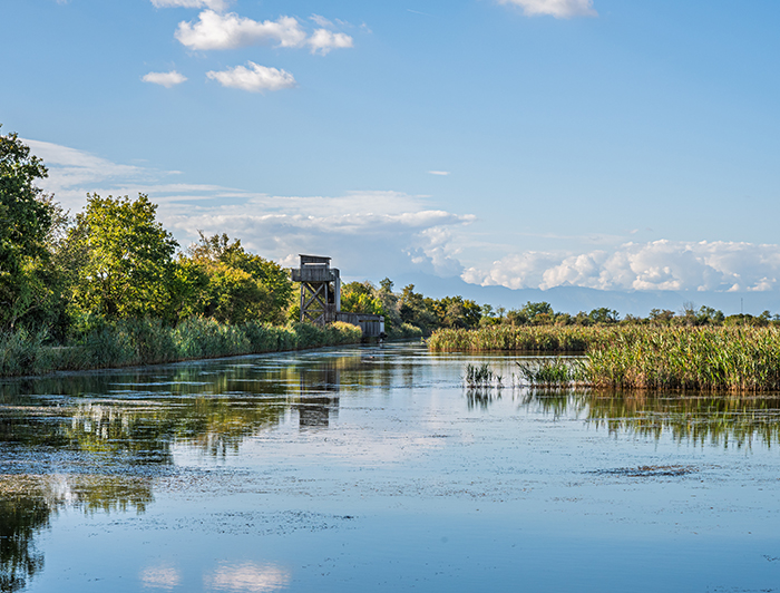 Tour in barca Round Trip con catamarano elettrico Sun Kiss - Noleggio catamarano con skipper a Caorle