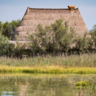 Casoni di Carole - Tour in barca Round Trip con catamarano elettrico Sun Kiss - Noleggio catamarano con skipper a Caorle